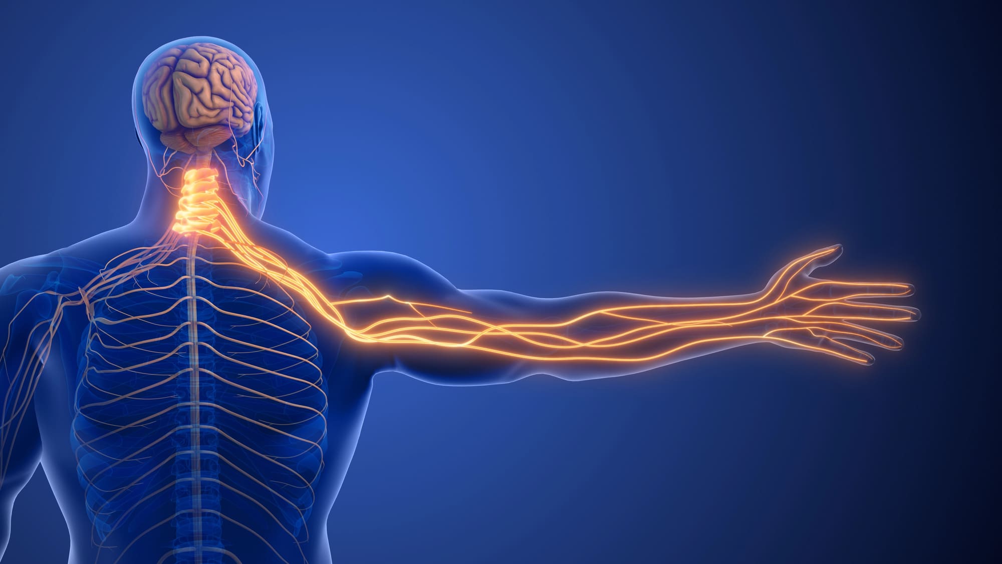 spinal cord stimulation